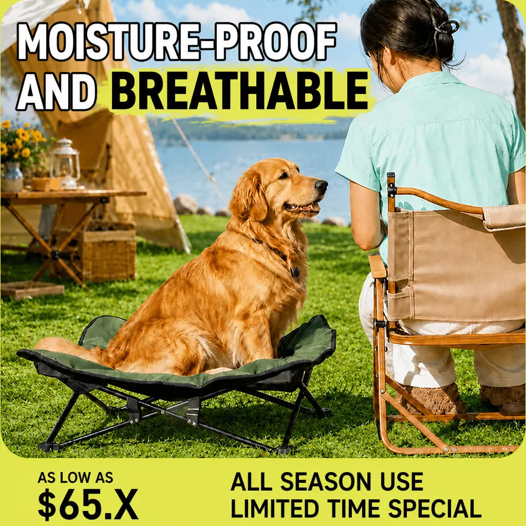 Foldable Outdoor Pet Camping Bed