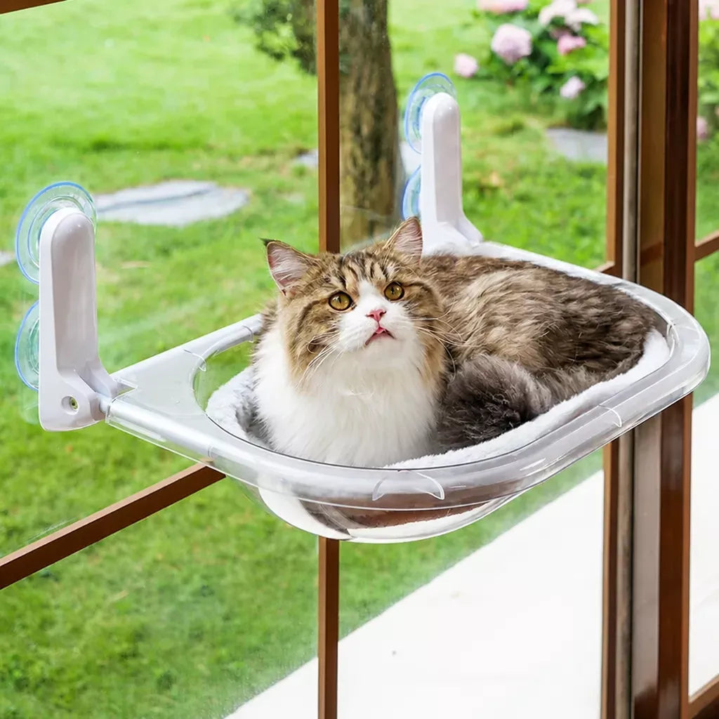 Transparent Foldable Cat Window Bed Main image