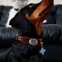 Brown Faux Leather Dog Collar with Blue Accent Charm