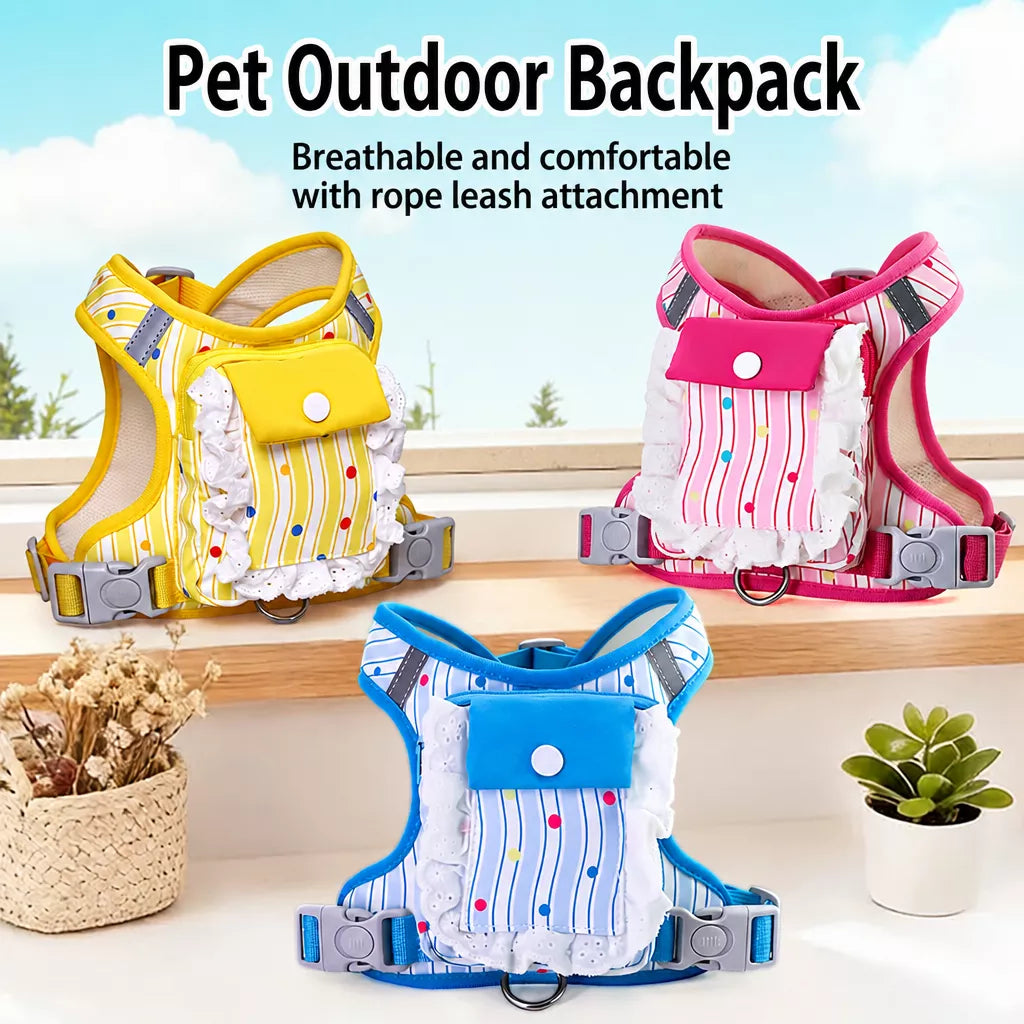 Polyester Dog Harness and Leash Set for Everyday Walks