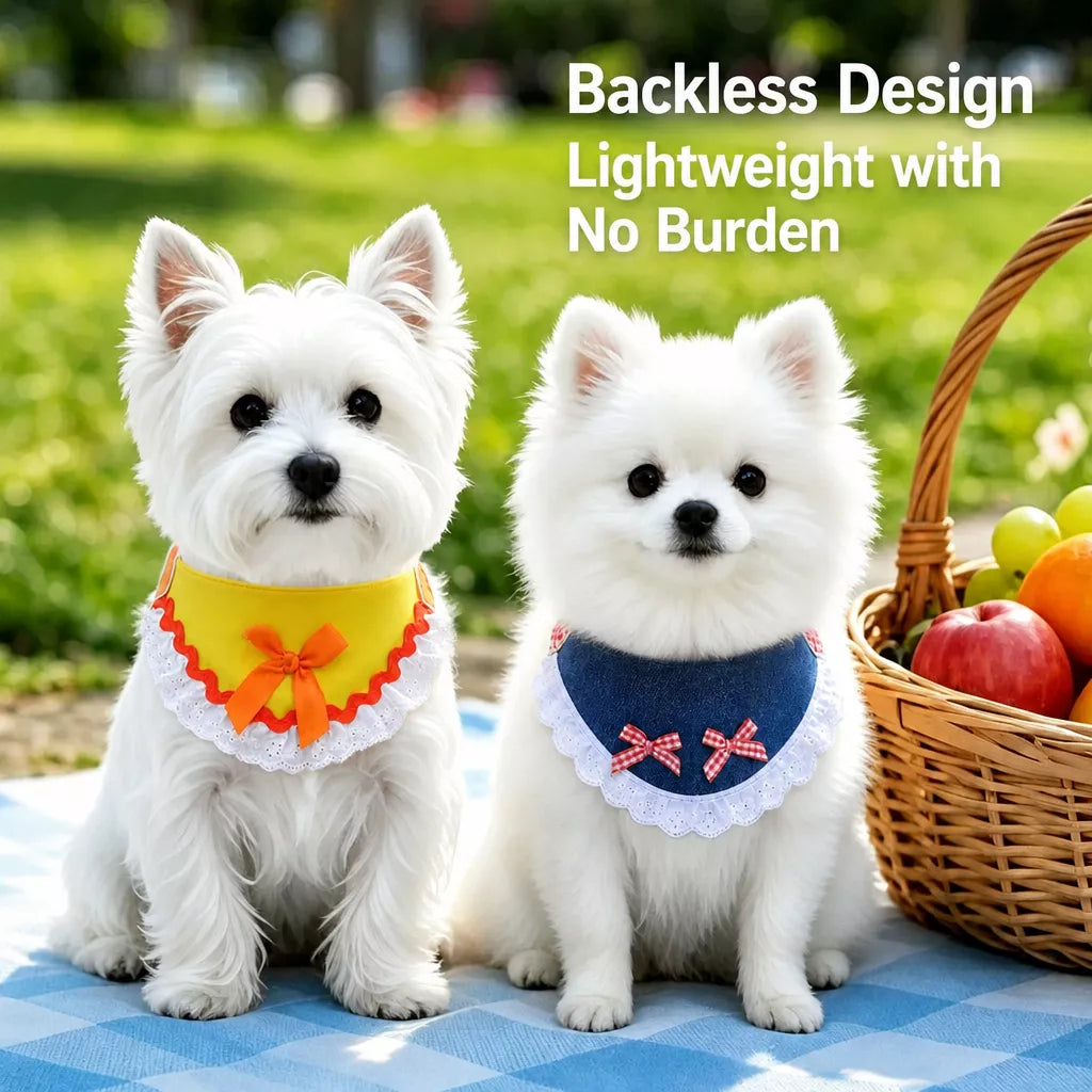 Small and Medium Dog Harness with 4.9 ft Leash
