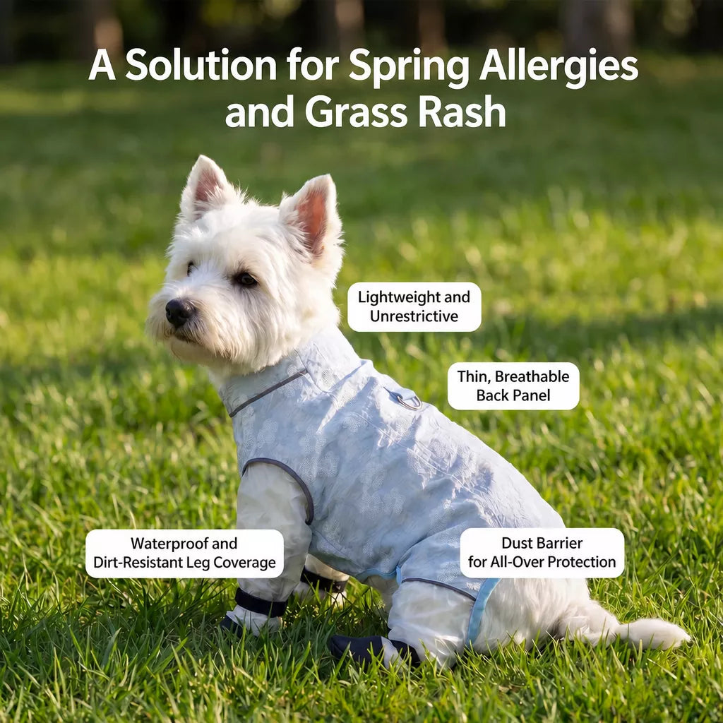 Lightweight Mesh Four-Leg Dog Coverall Imagen secundaria del producto