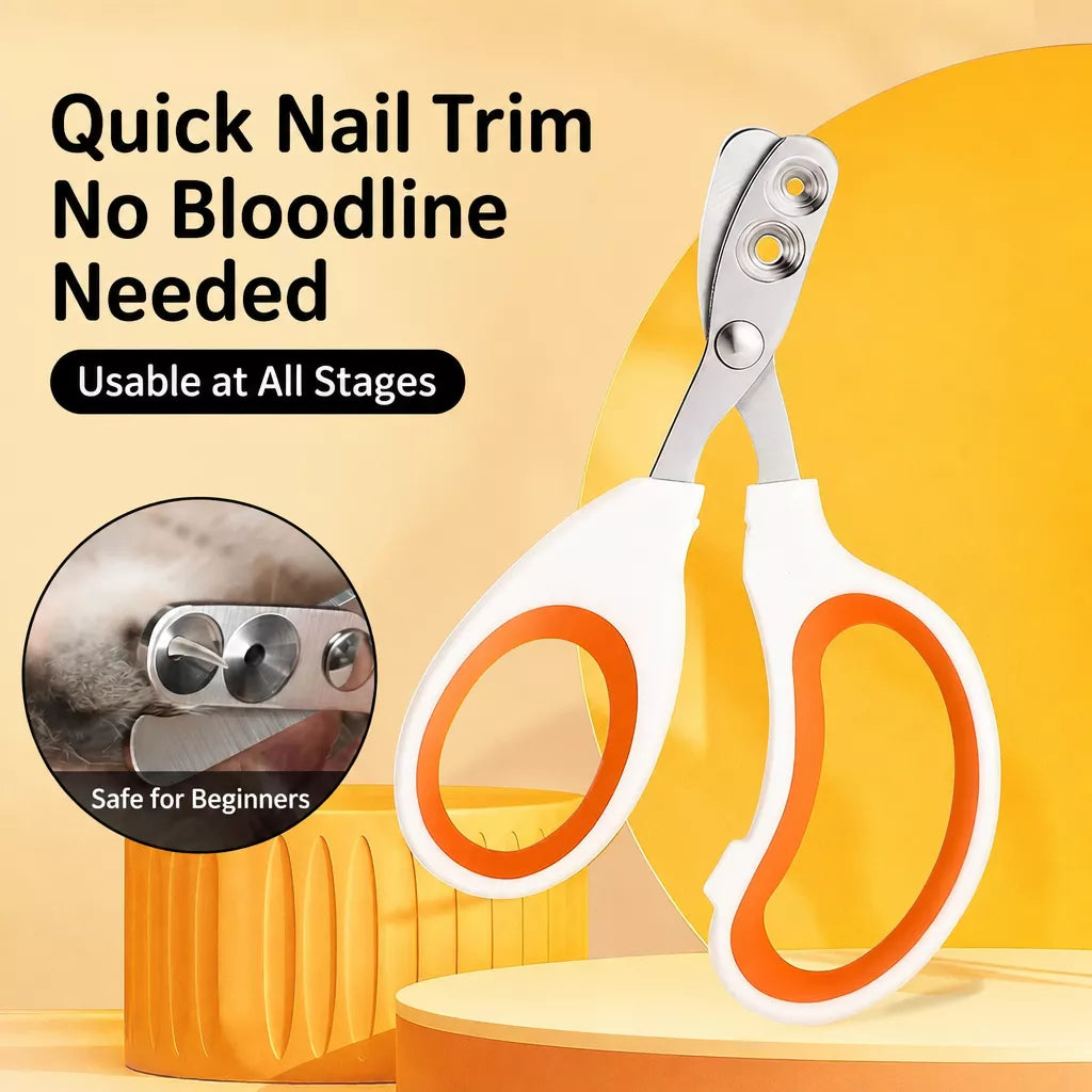 Cat & Dog Grooming Tool Sets with Deshedding Tools Secondary image