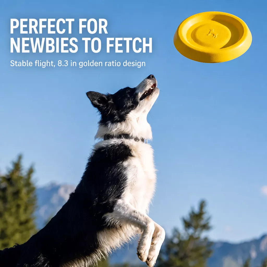 Dog Flying Disc and Tug Toy for Medium and Large Dogs