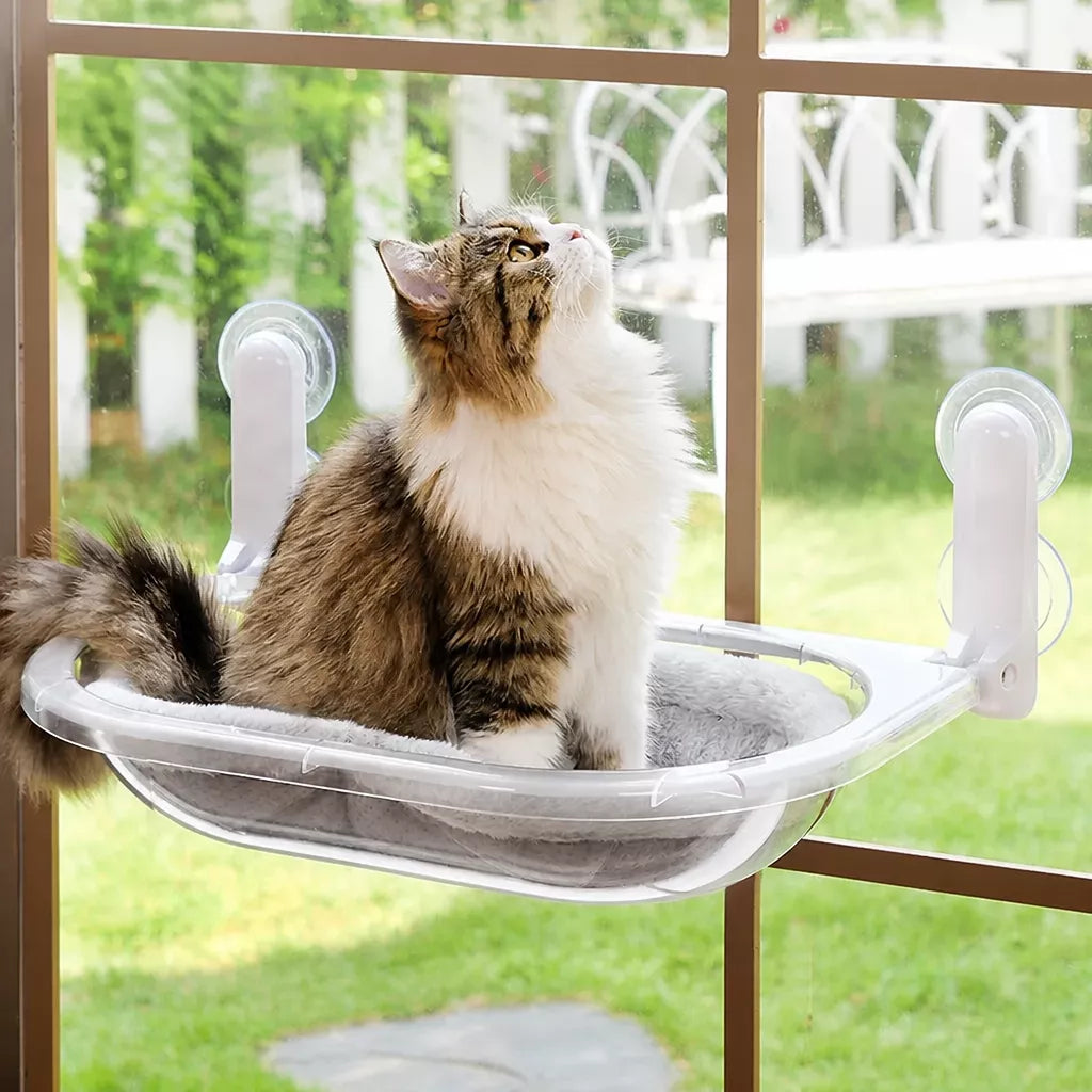 Transparent Foldable Cat Window Bed