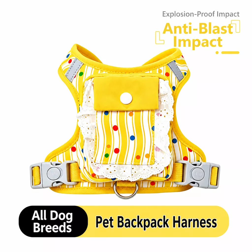 Polyester Dog Harness and Leash Set for Everyday Walks