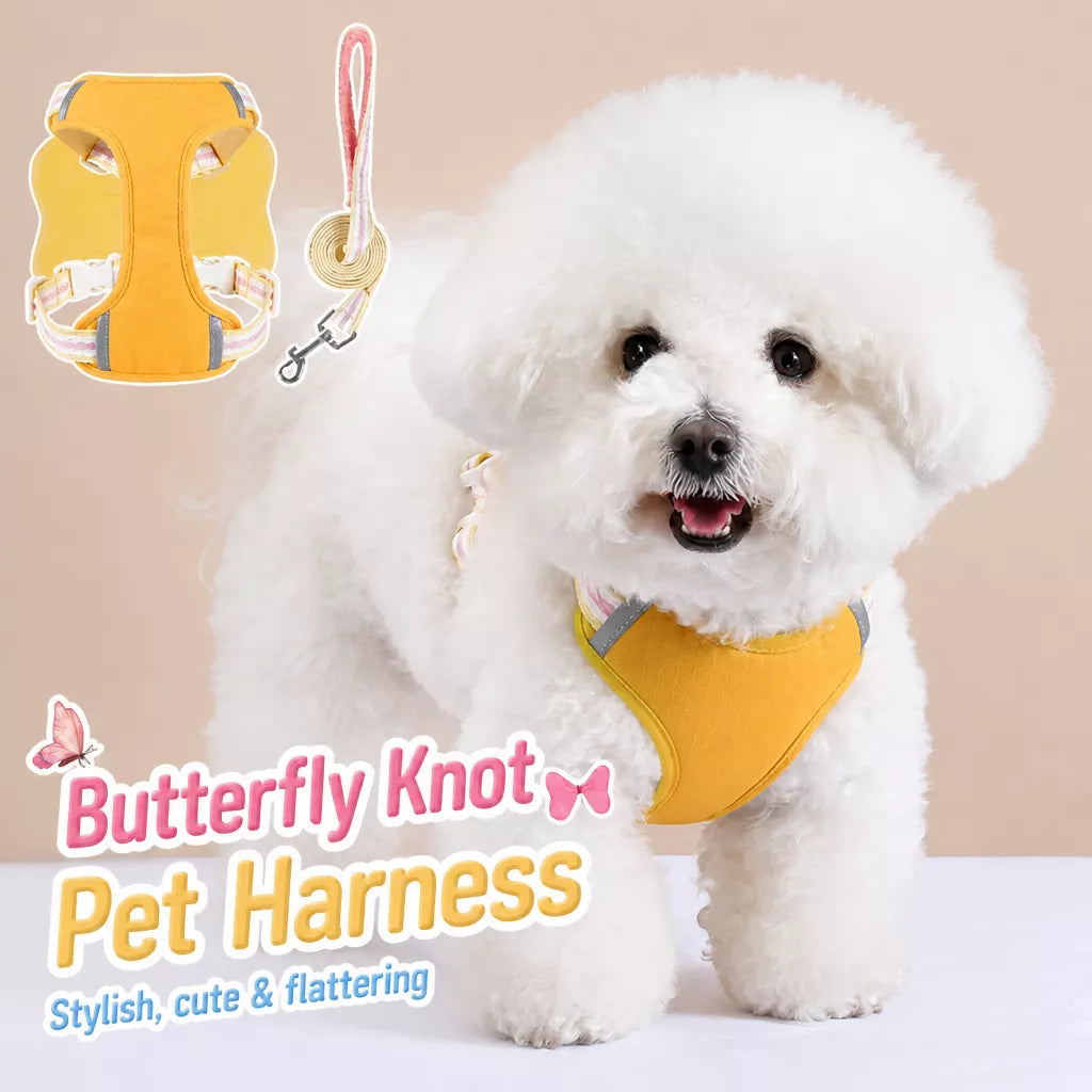 Bow Tie Vest-Style Dog Harness and Leash for Small Dogs