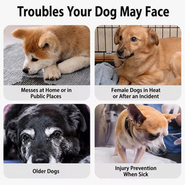 Disposable Dog Diapers for Male and Female Dogs