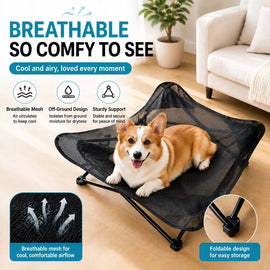 Foldable Outdoor Pet Camping Bed