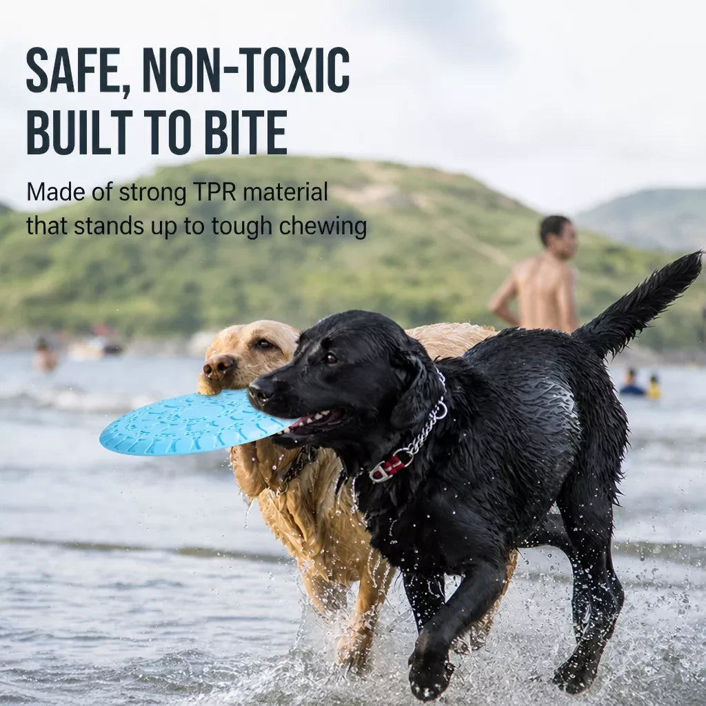 Soft TPR Disc Dog Toy for Outdoor Training