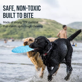 Soft TPR Disc Dog Toy for Outdoor Training