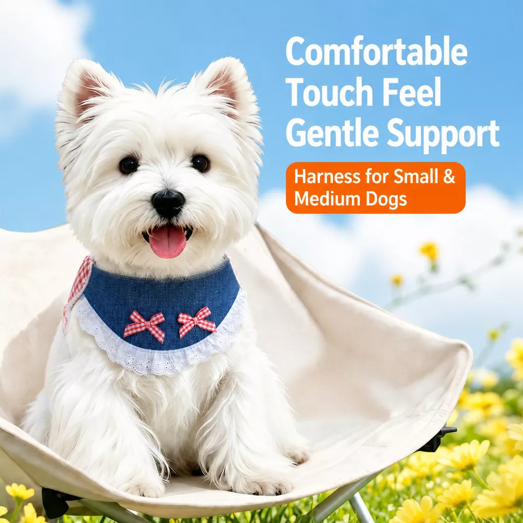 Small and Medium Dog Harness with 4.9 ft Leash