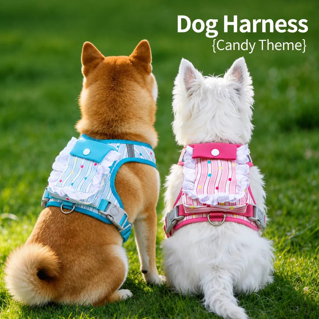 Polyester Dog Harness and Leash Set for Everyday Walks