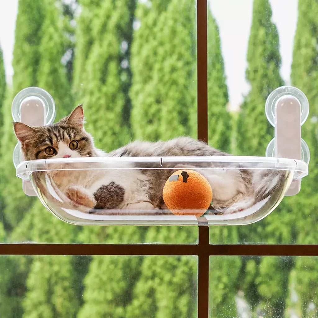 Transparent Foldable Cat Window Bed