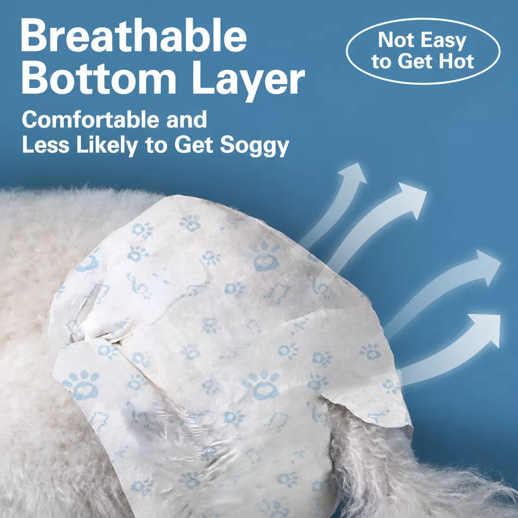Disposable Dog Diapers for Male and Female Dogs