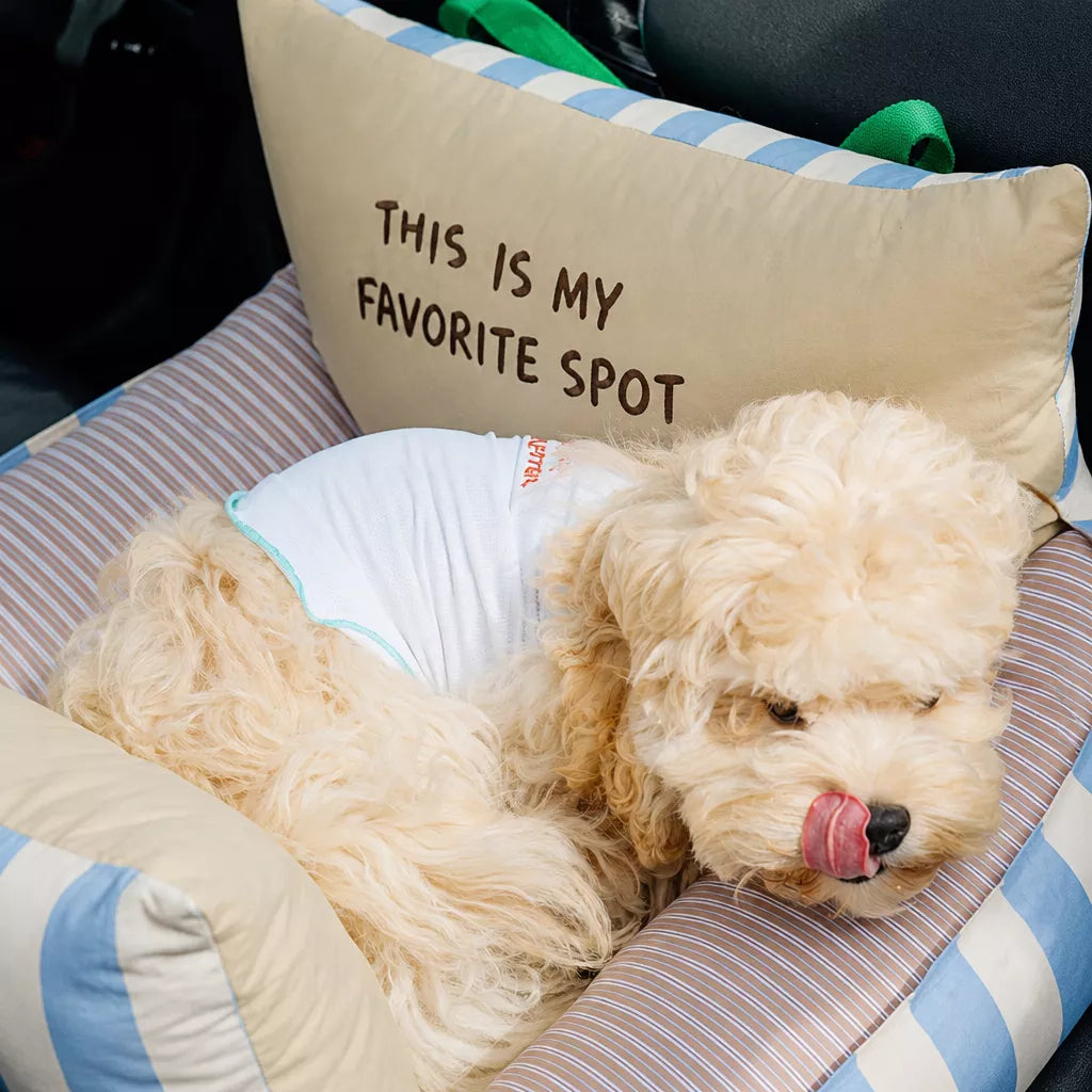Removable Washable Car Pet Bed