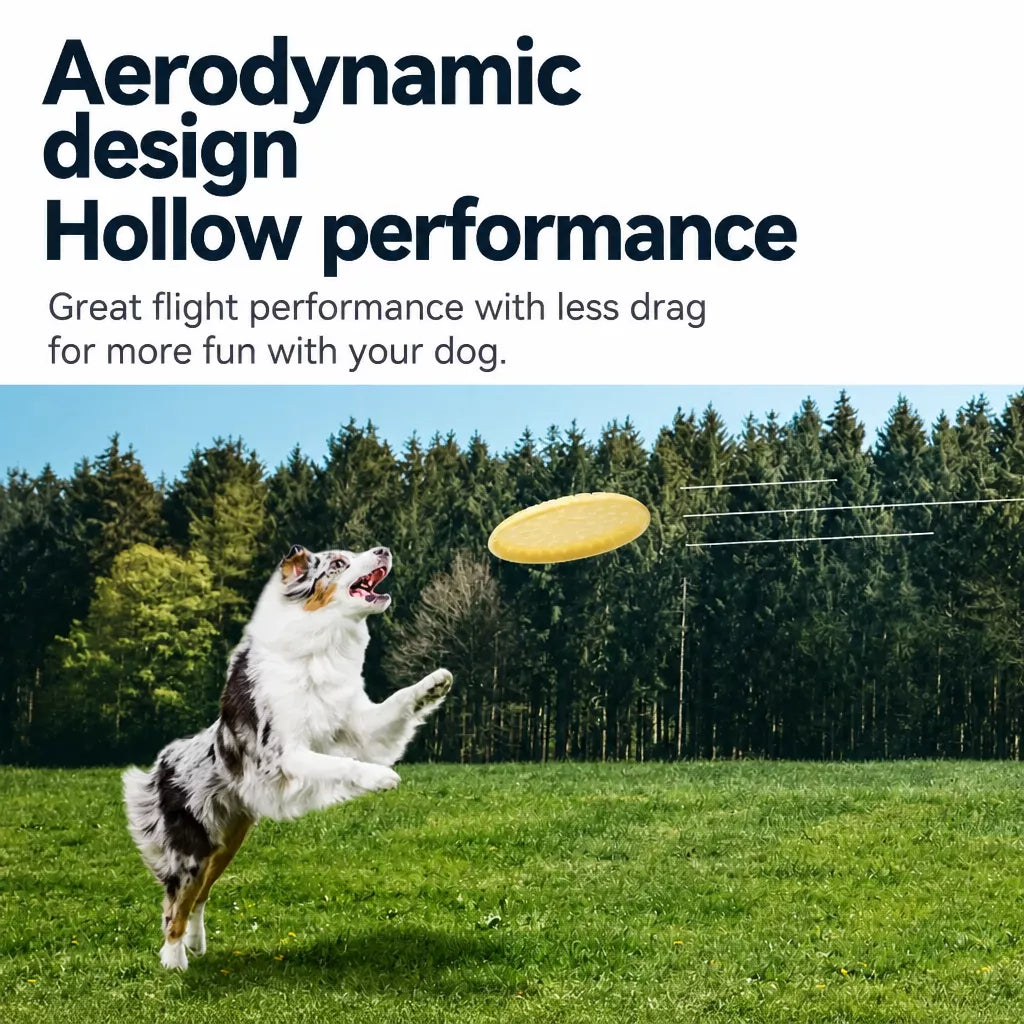 Soft TPR Disc Dog Toy for Outdoor Training