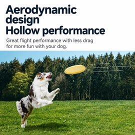Soft TPR Disc Dog Toy for Outdoor Training