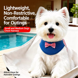 Small and Medium Dog Harness with 4.9 ft Leash