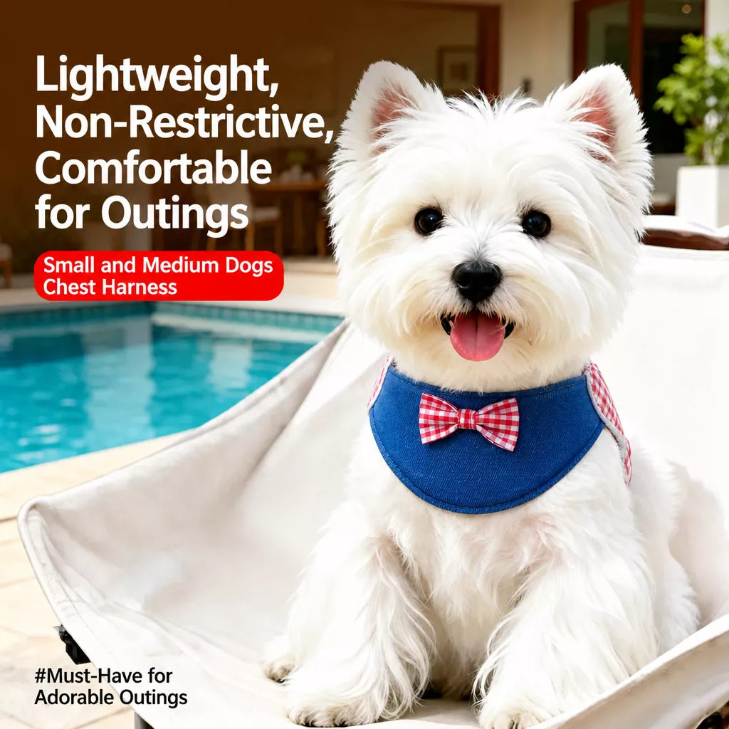 Small and Medium Dog Harness with 4.9 ft Leash