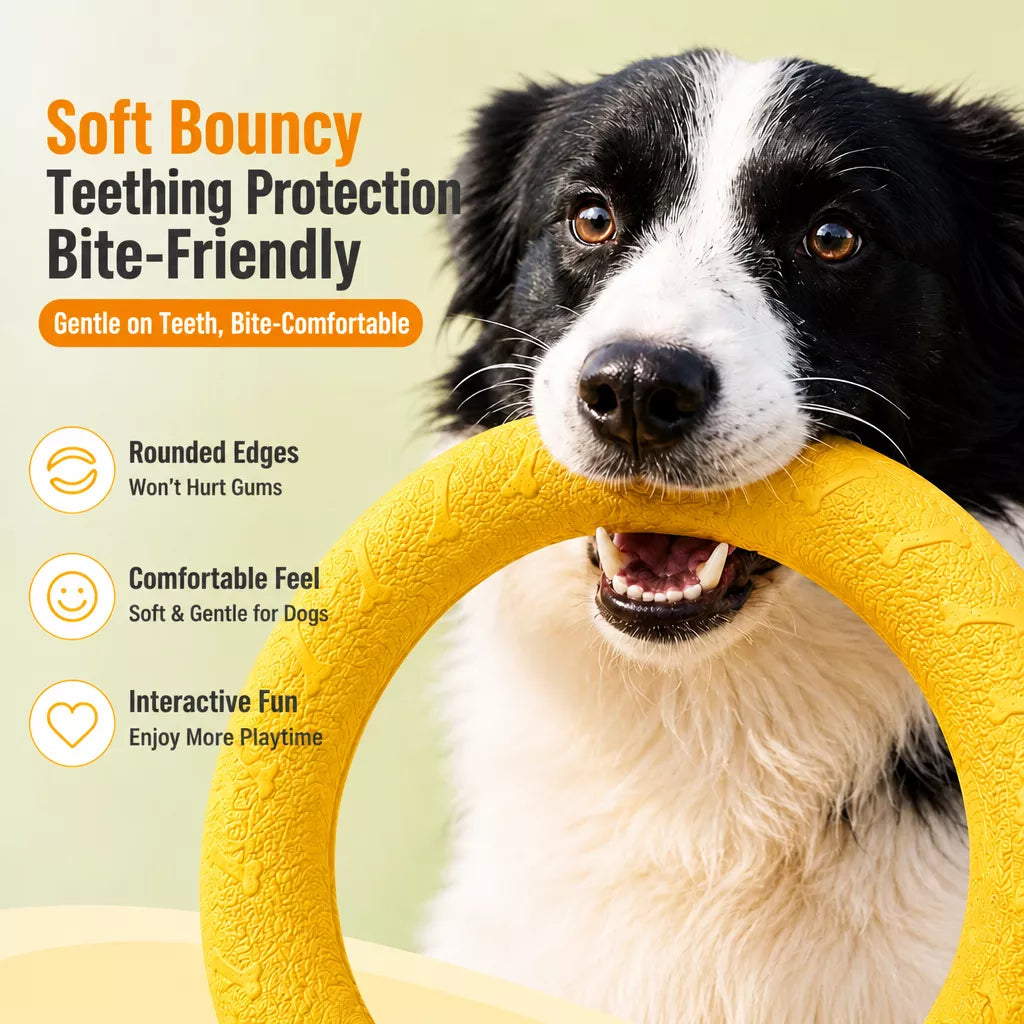 Silicone Ring Fetch and Tug Toy for Dogs