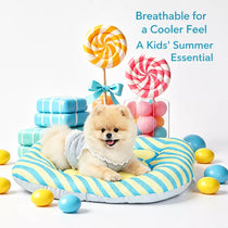 Removable Washable All-Season Pet Bed for Cats & Dogs
