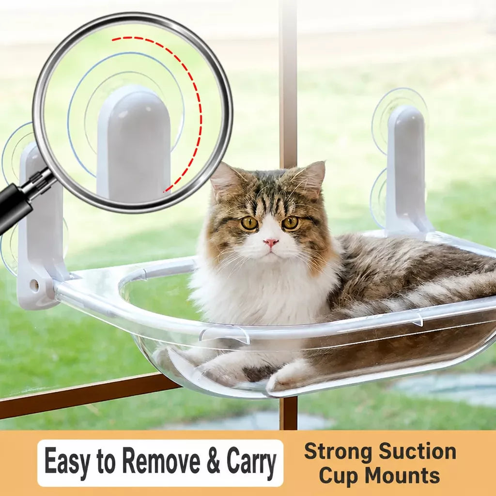 Transparent Foldable Cat Window Bed