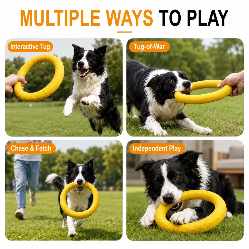 Silicone Ring Fetch and Tug Toy for Dogs