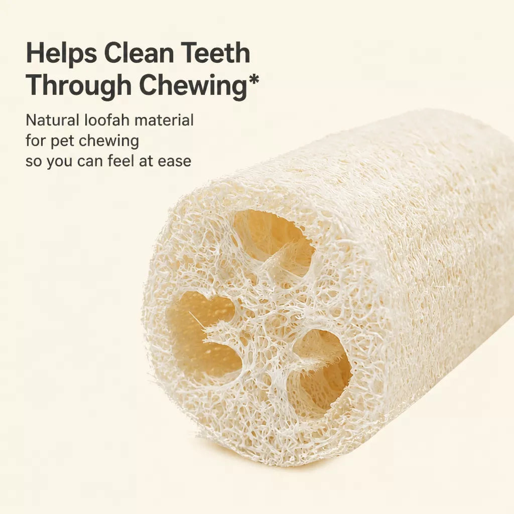 Loofah Cat Toy with Catnip