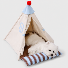 Small dog resting inside the breathable pet tent