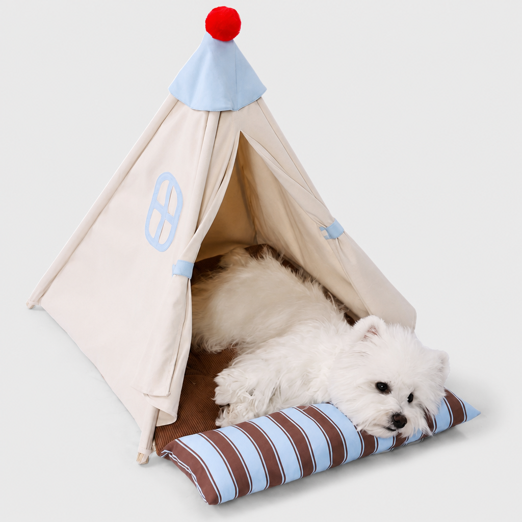 Small dog resting inside the breathable pet tent