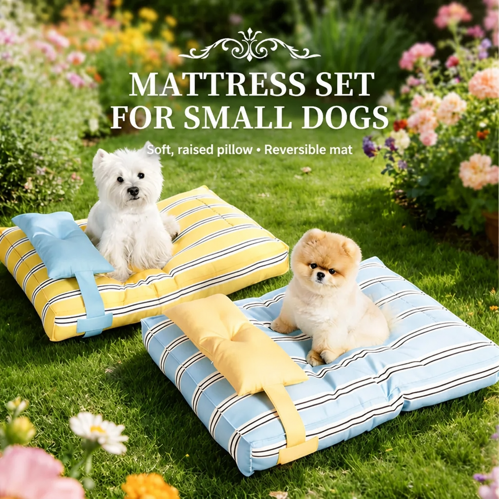 Striped dog beds with removable support pillows in blue and yellow Main image