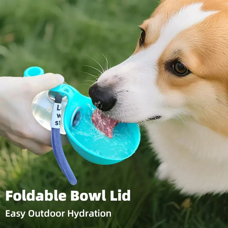 Foldable Pet Water Bottle and Travel Bowl Main image