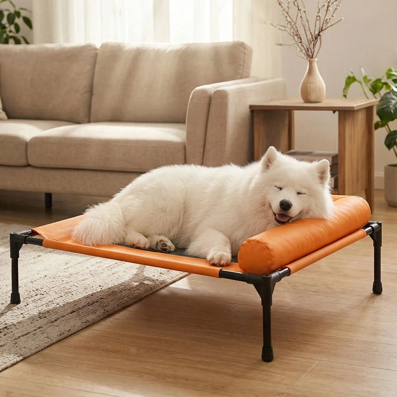 Elevated Mesh Pet Bed with Three-Sided Bolster Main image