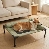 Elevated Mesh Pet Bed with Three-Sided Bolster - pnzcws-8593-2