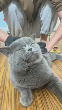 Double-Sided Pet Grooming and Deshedding Glove