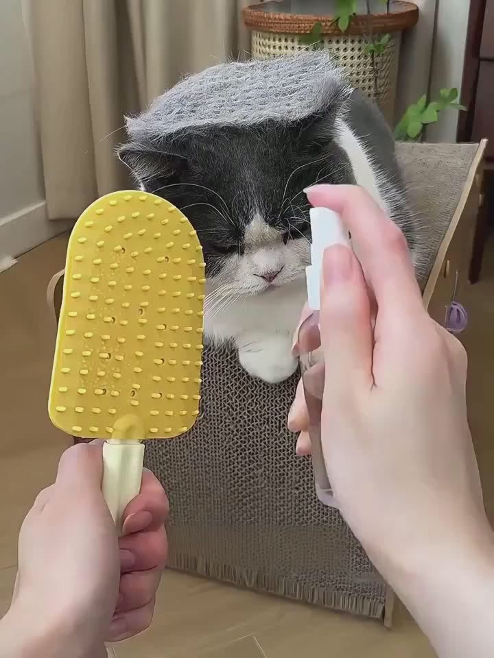 Double-Sided TPR Pet Hair Remover Brush