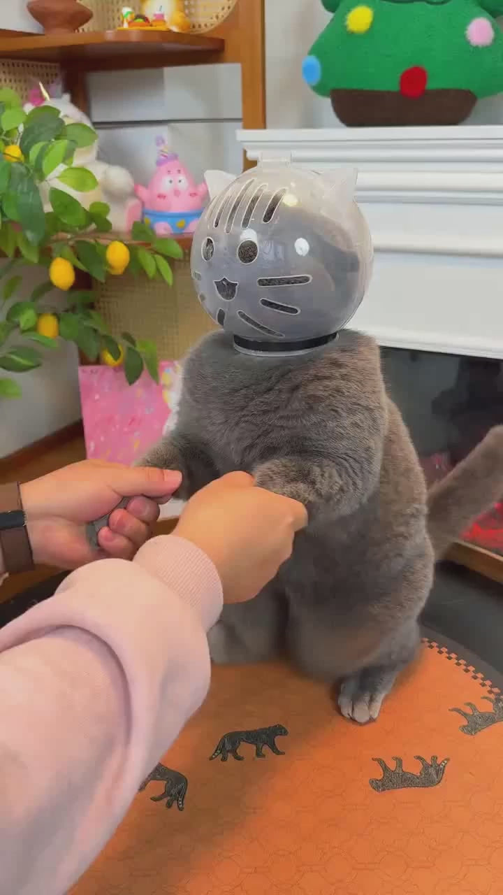 Ventilated Clear Cat Grooming Hood
