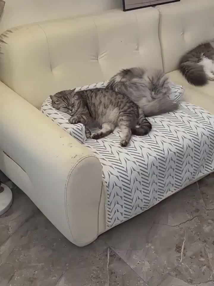 Plush Pet Sofa Protector Bed with Bolster