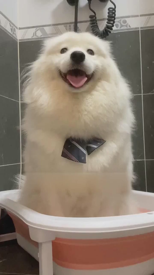 Silicone Shampoo Dispensing Pet Bath Brush