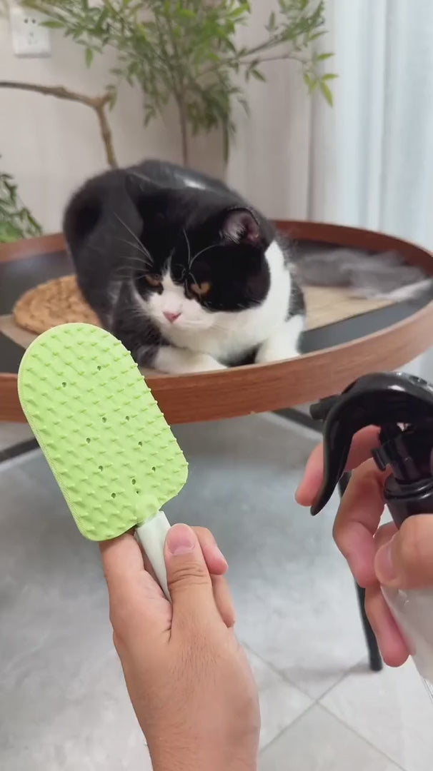 Double-Sided TPR Pet Hair Remover Brush