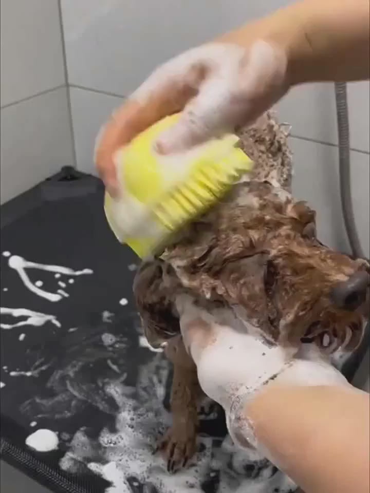 Silicone Shampoo Dispensing Pet Bath Brush