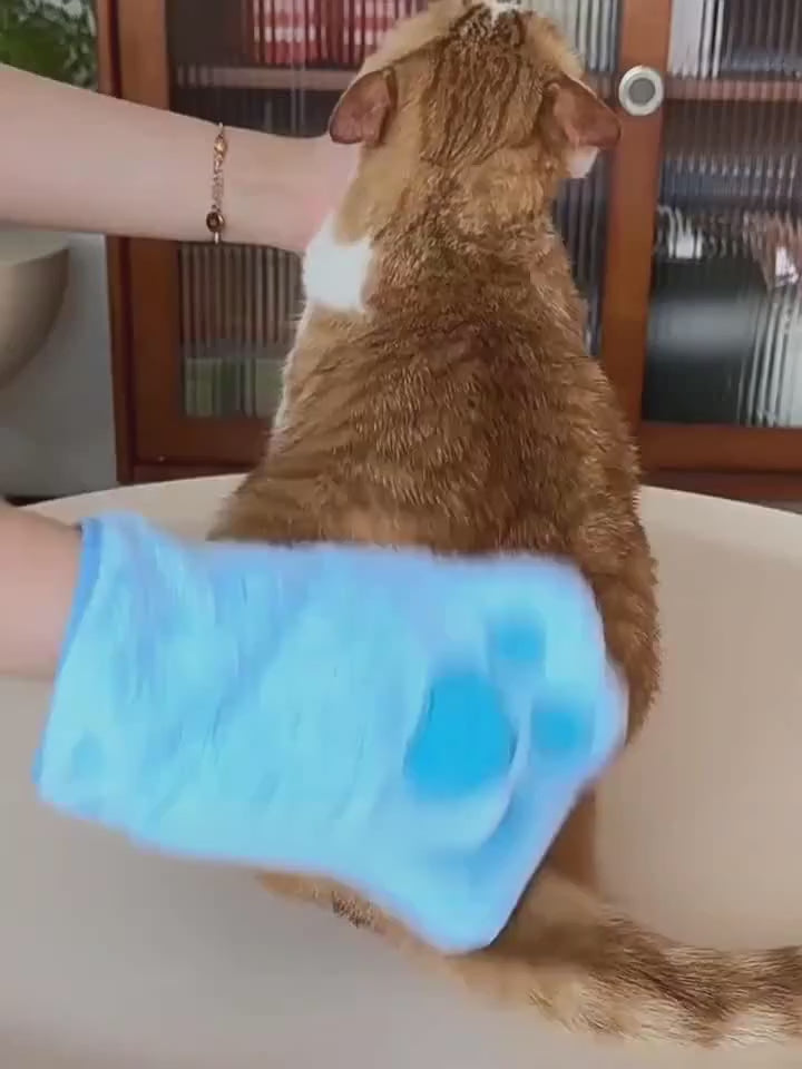 Absorbent Paw-Shaped Pet Grooming Mitt