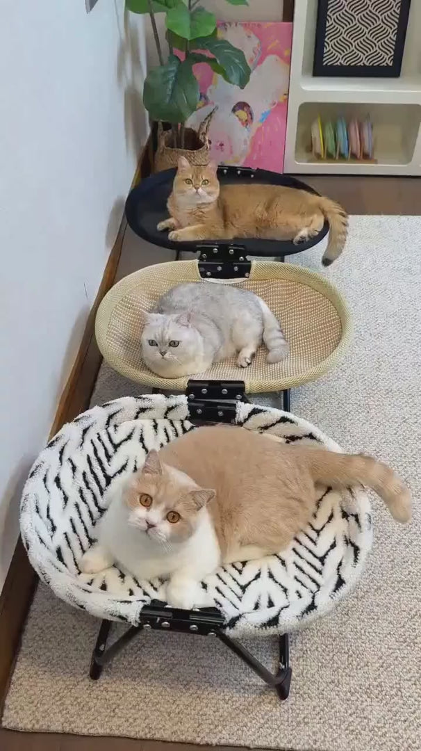 Foldable Elevated Round Pet Bed