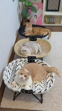 Foldable Elevated Round Pet Bed