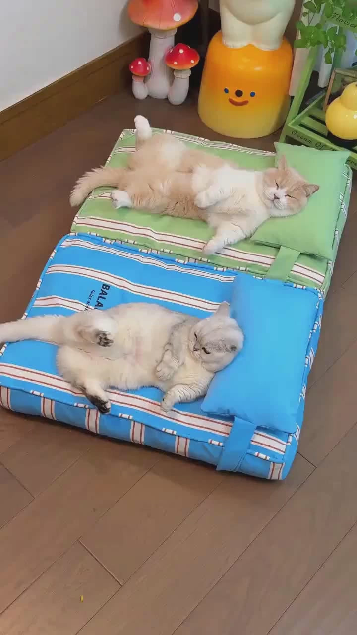 Striped Washable Pet Bed Mat with Removable Pillow